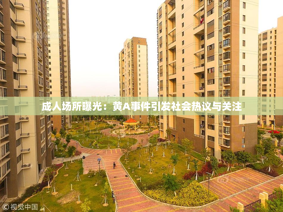成人场所曝光：黄A事件引发社会热议与关注