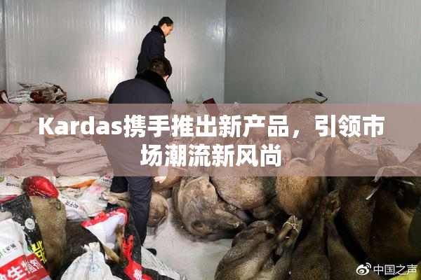 Kardas携手推出新产品，引领市场潮流新风尚
