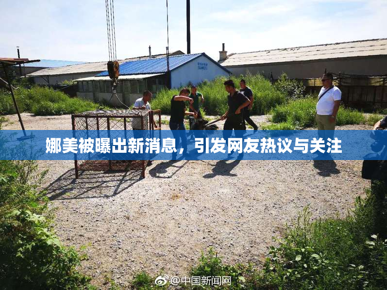 娜美被曝出新消息，引发网友热议与关注