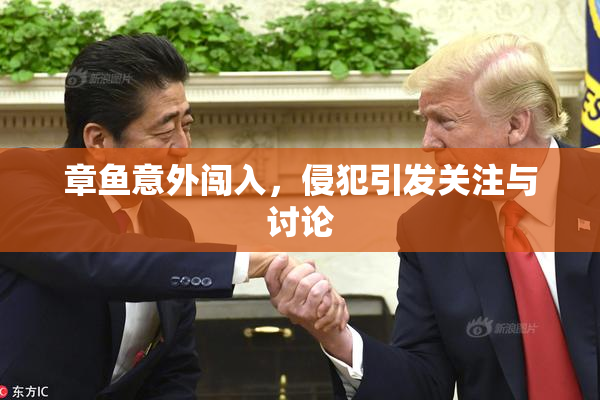 章鱼意外闯入，侵犯引发关注与讨论