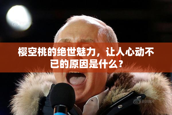 樱空桃的绝世魅力，让人心动不已的原因是什么？
