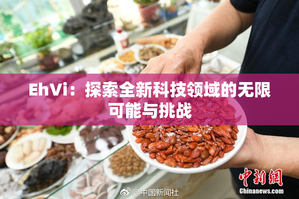 EhVi：探索全新科技领域的无限可能与挑战