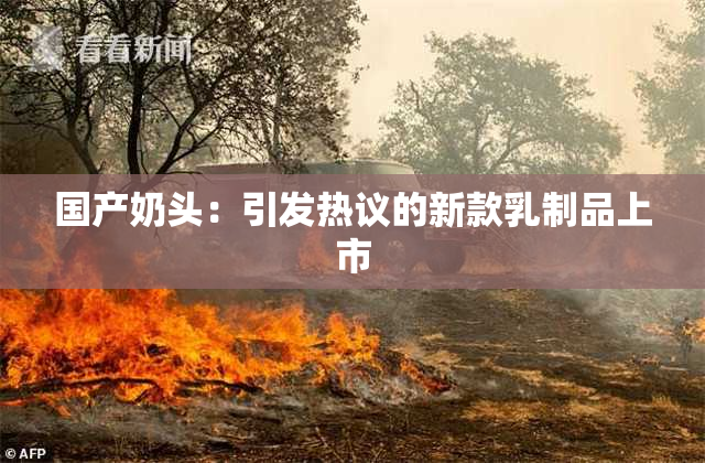 国产奶头：引发热议的新款乳制品上市