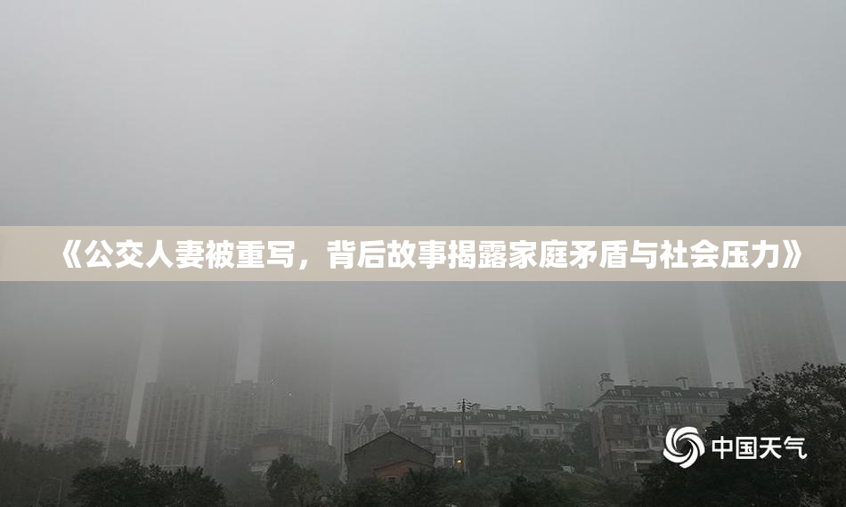 《公交人妻被重写，背后故事揭露家庭矛盾与社会压力》