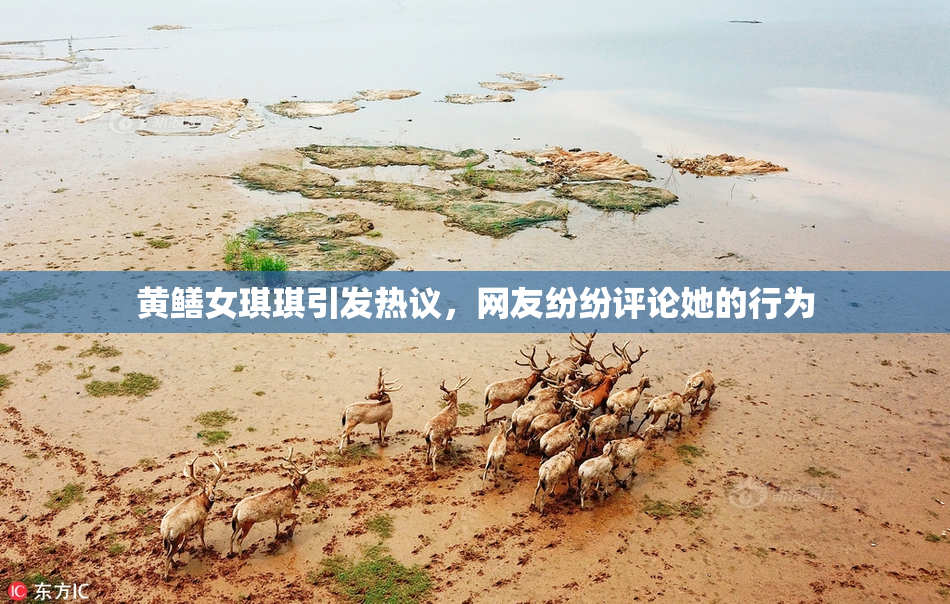 黄鳝女琪琪引发热议，网友纷纷评论她的行为