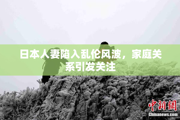 日本人妻陷入乱伦风波，家庭关系引发关注
