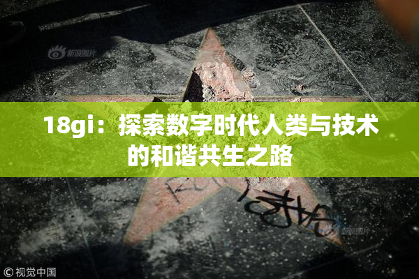 18gi：探索数字时代人类与技术的和谐共生之路