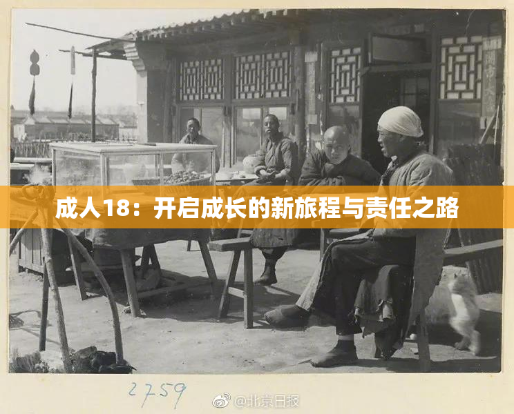 成人18：开启成长的新旅程与责任之路