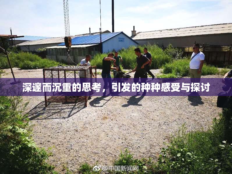 深邃而沉重的思考，引发的种种感受与探讨