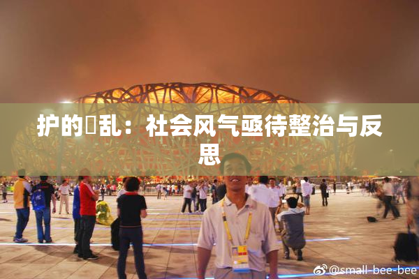 护的婬乱：社会风气亟待整治与反思