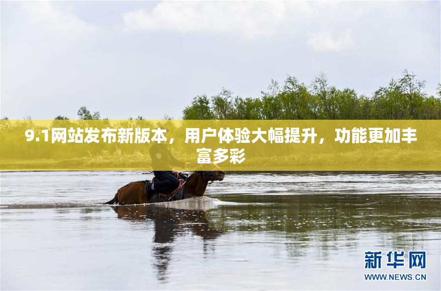 9.1网站发布新版本，用户体验大幅提升，功能更加丰富多彩