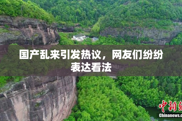 国产乱来引发热议，网友们纷纷表达看法