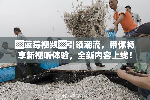▓蓝莓视频▓引领潮流，带你畅享新视听体验，全新内容上线！
