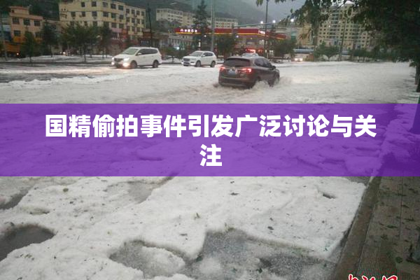 国精偷拍事件引发广泛讨论与关注