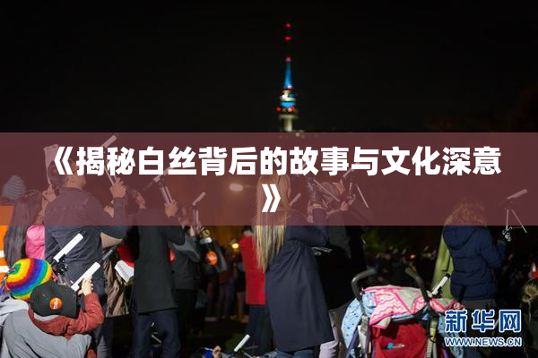 《揭秘白丝背后的故事与文化深意》
