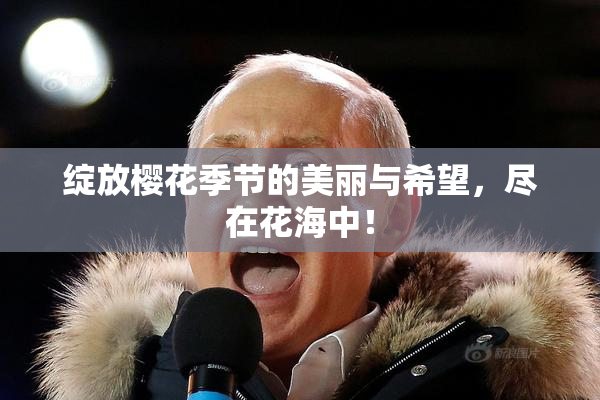 绽放樱花季节的美丽与希望，尽在花海中！