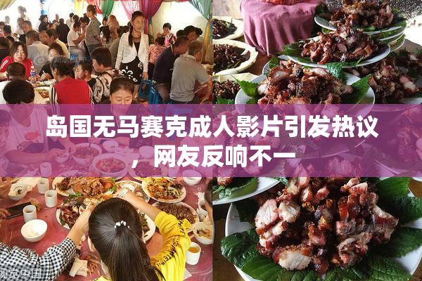 岛国无马赛克成人影片引发热议，网友反响不一