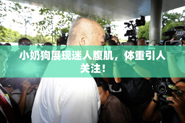 小奶狗展现迷人腹肌，体重引人关注！