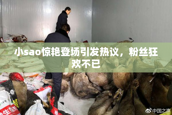 小sao惊艳登场引发热议，粉丝狂欢不已