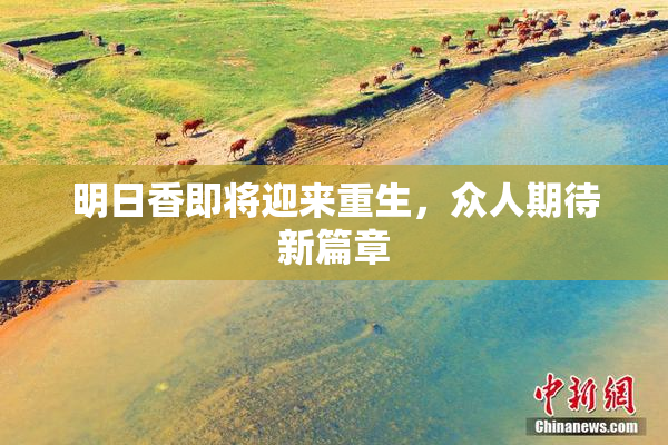 明日香即将迎来重生，众人期待新篇章