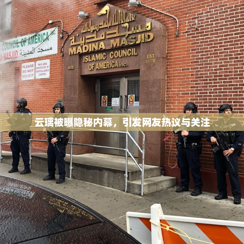 云璃被曝隐秘内幕，引发网友热议与关注
