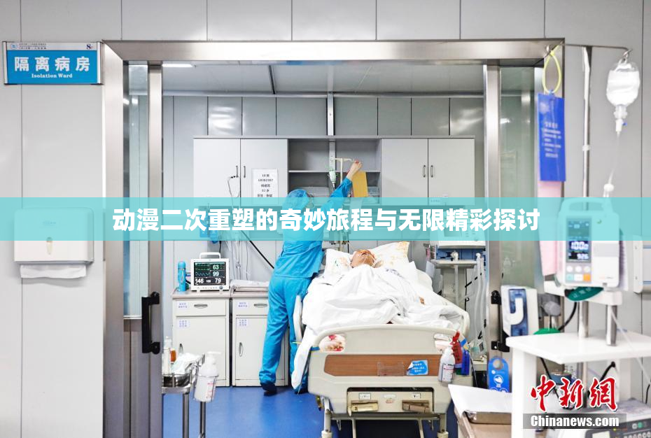动漫二次重塑的奇妙旅程与无限精彩探讨