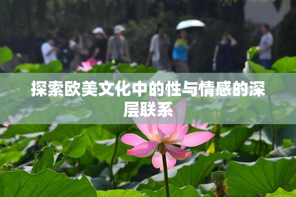 探索欧美文化中的性与情感的深层联系