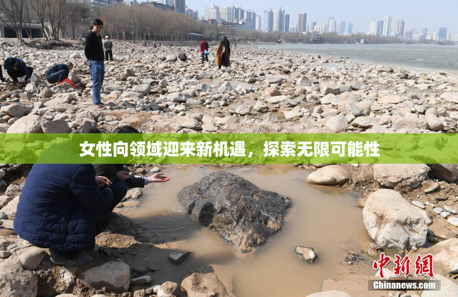女性向领域迎来新机遇，探索无限可能性