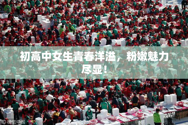 初高中女生青春洋溢，粉嫩魅力尽显！
