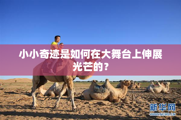小小奇迹是如何在大舞台上伸展光芒的？