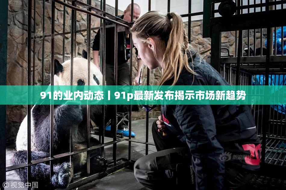 91的业内动态丨91p最新发布揭示市场新趋势