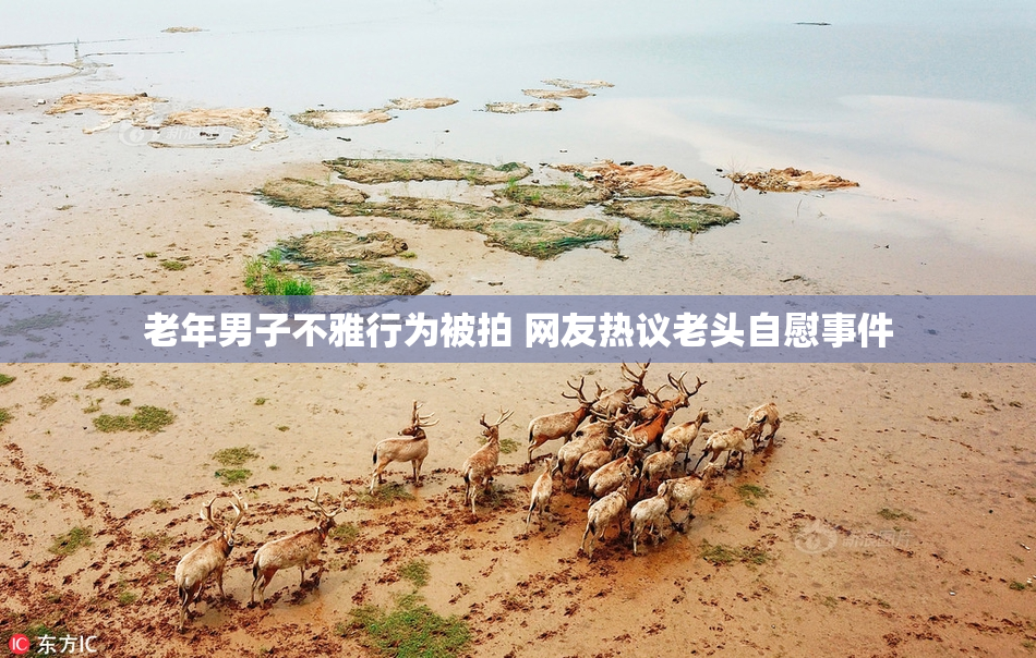 老年男子不雅行为被拍 网友热议老头自慰事件