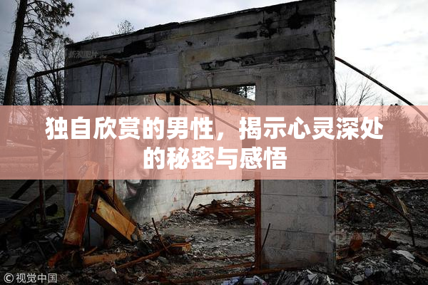 独自欣赏的男性，揭示心灵深处的秘密与感悟