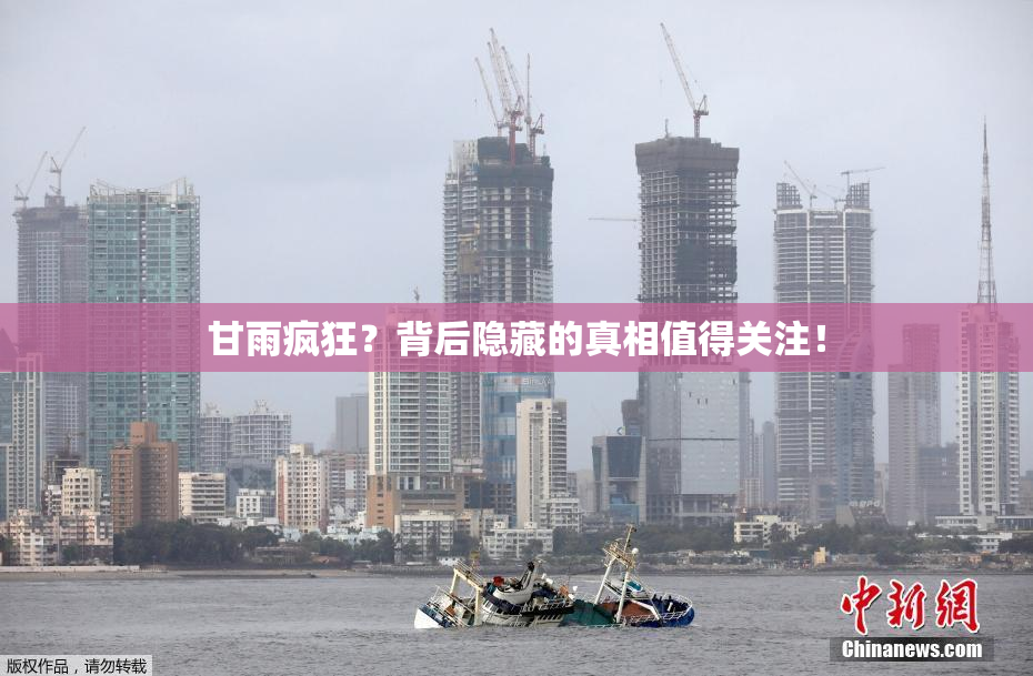 甘雨疯狂？背后隐藏的真相值得关注！