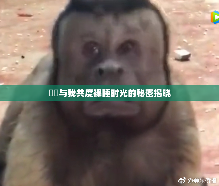 妺妺与我共度裸睡时光的秘密揭晓