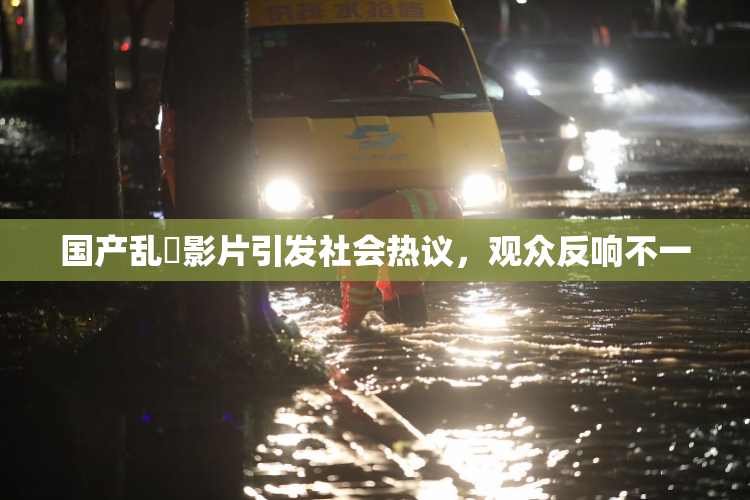 国产乱婬影片引发社会热议，观众反响不一