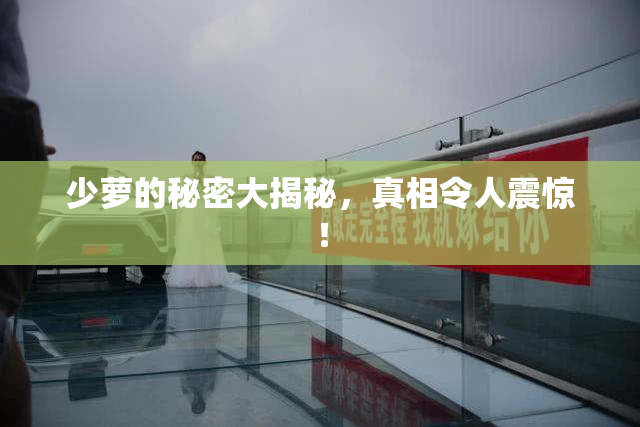 少萝的秘密大揭秘，真相令人震惊！