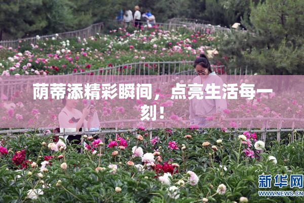 荫蒂添精彩瞬间，点亮生活每一刻！