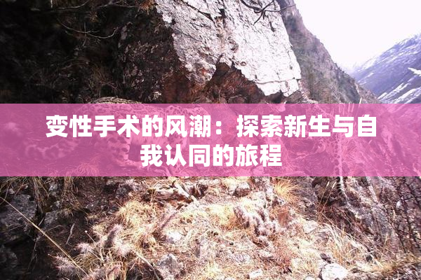 变性手术的风潮：探索新生与自我认同的旅程