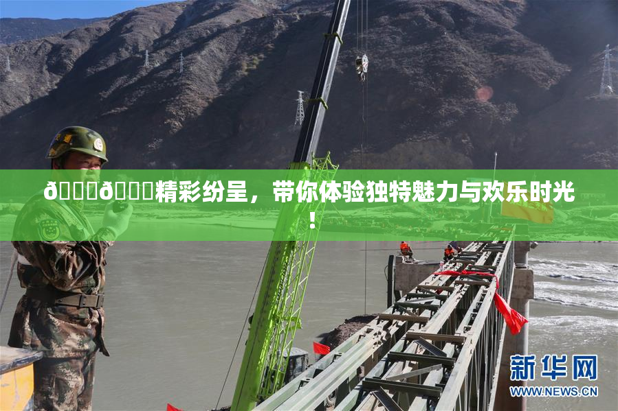 🐔🐔精彩纷呈，带你体验独特魅力与欢乐时光！