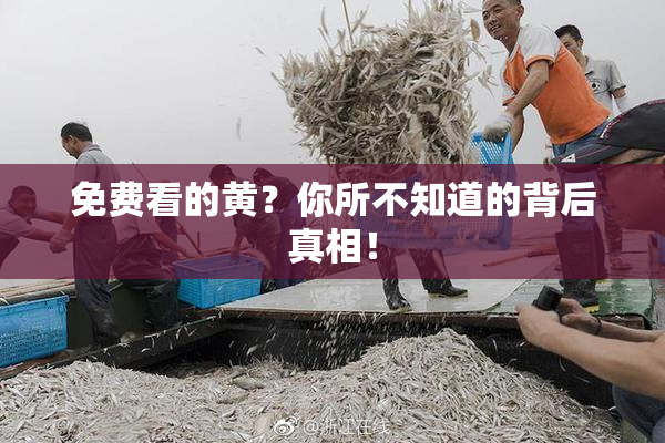 免费看的黄？你所不知道的背后真相！
