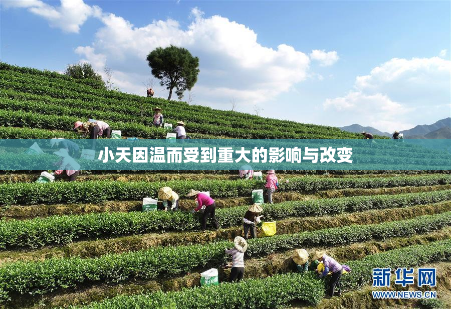 小天因温而受到重大的影响与改变