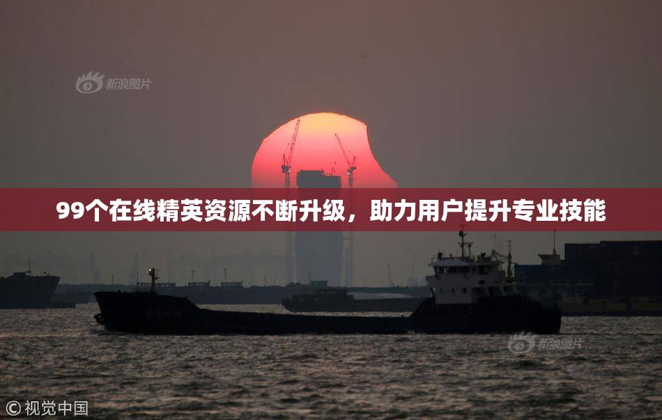 99个在线精英资源不断升级，助力用户提升专业技能