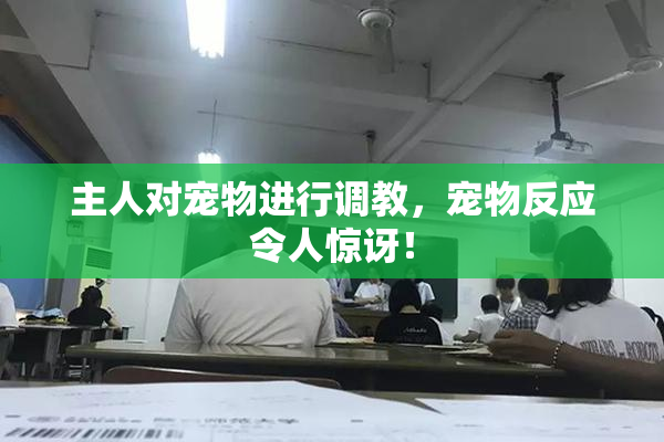 主人对宠物进行调教，宠物反应令人惊讶！