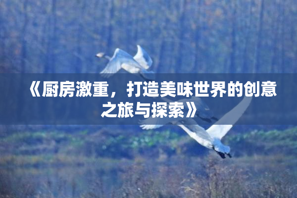 《厨房激重，打造美味世界的创意之旅与探索》