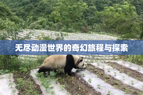 无尽动漫世界的奇幻旅程与探索