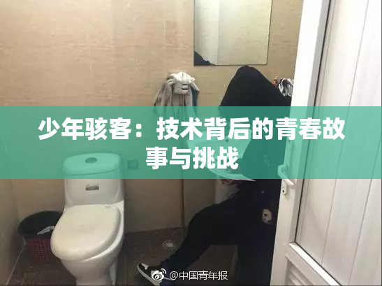 少年骇客：技术背后的青春故事与挑战