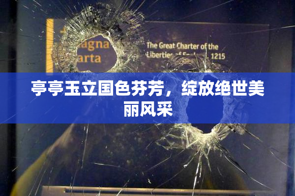 亭亭玉立国色芬芳，绽放绝世美丽风采