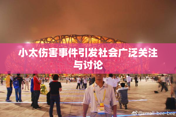 小太伤害事件引发社会广泛关注与讨论