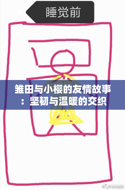 雏田与小樱的友情故事：坚韧与温暖的交织